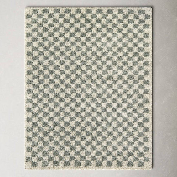 Walker Checkered Sage/Cream Shag Area Rug AllModern Rug Size: Rectangle 7'10" x 10'